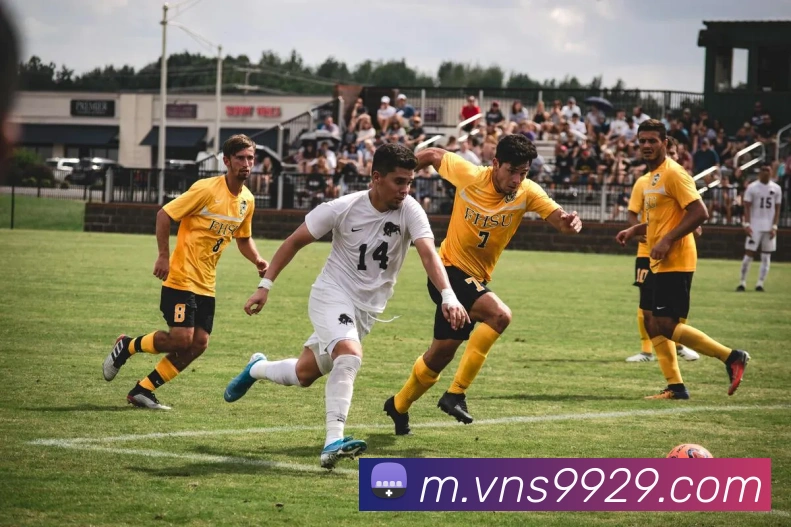 奖项图3